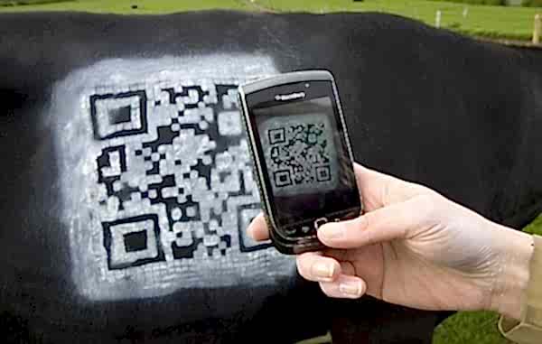 Жители Алматы смогут проверить качество молока через QR-код